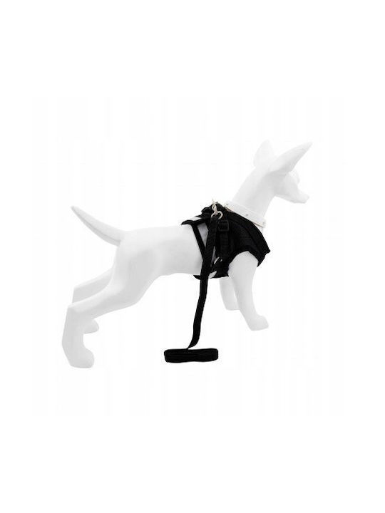 Hundegeschirr + Leine Hund Schwarz Polyester Größe M Reflektierende Elemente