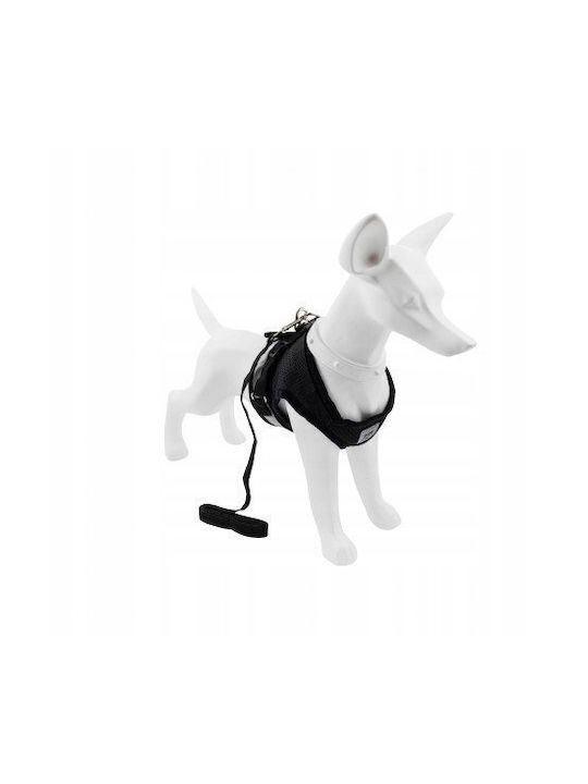 Hundegeschirr + Leine Hund Schwarz Polyester Größe M Reflektierende Elemente