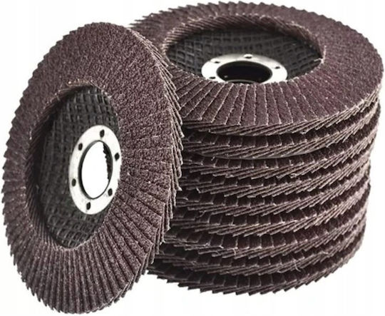 Andre Flap Disc 125mm P80 Eco Line Version Iv