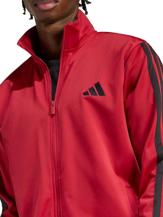 M 3s Sweatpants Set Glänzend mit Gummizug Rot
