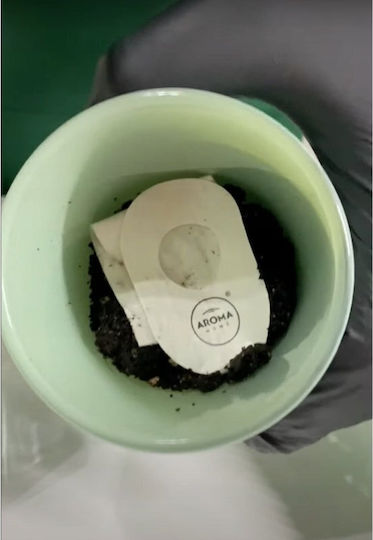 Lumânare Aromatică cu Miros de Pătrunjel 150 G Unisex