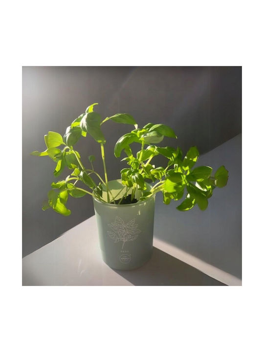 Lumânare Aromatică cu Miros de Pătrunjel 150 G Unisex