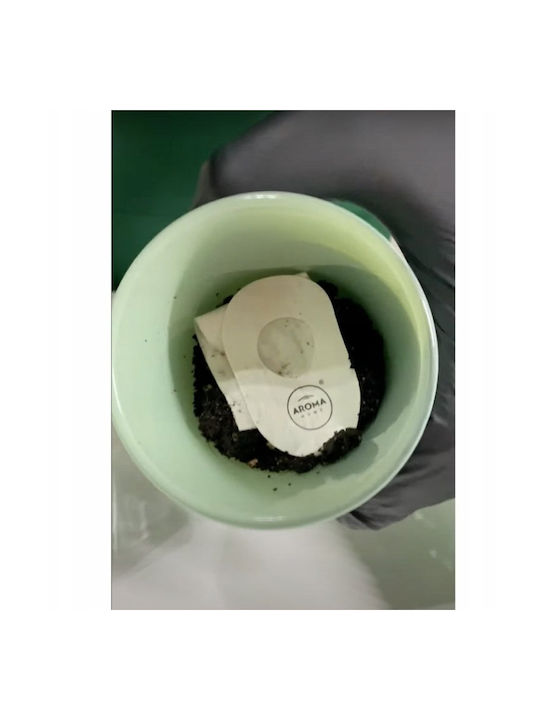 Aroma Home Basil Duftkerze 150 G Unisex