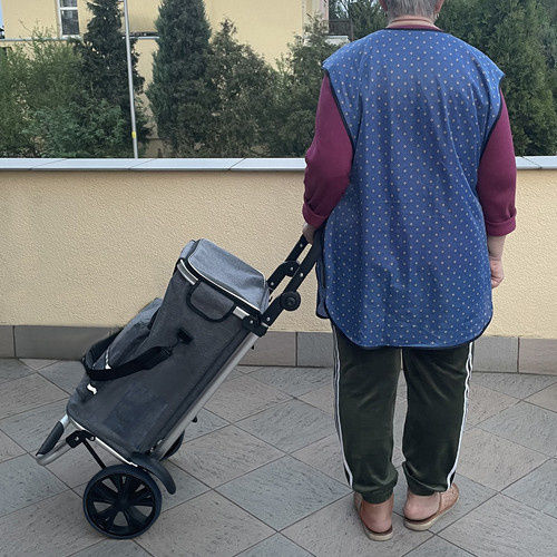 Căruț de Piață Textil Pliabil Gri 40l