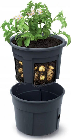Black Flower Pot