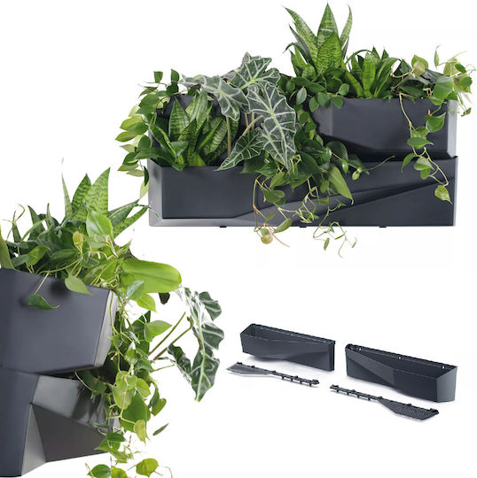 Set 2 Ghivece De Flori Din Plastic Gri Antracit
