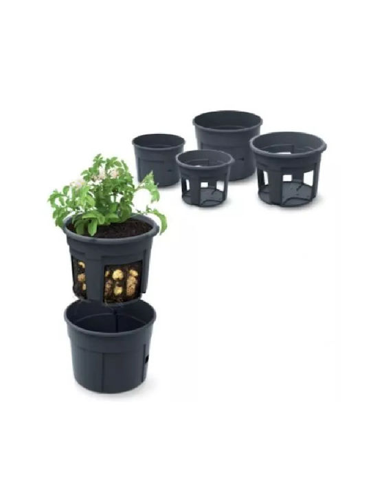Blumentopf Schwarz