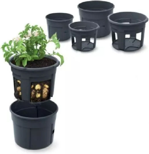Black Flower Pot