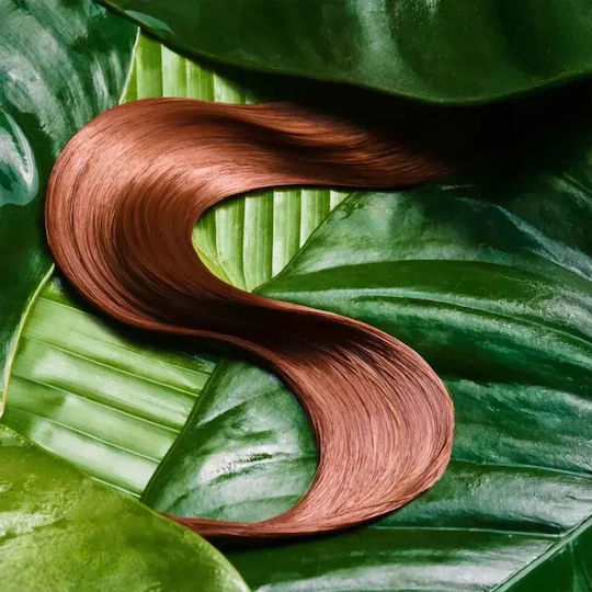 Coco & Eve Bond Therapy Pro Bond Mask 212 Ml Renewing Strengthening Mask Chemically Damaged Hair