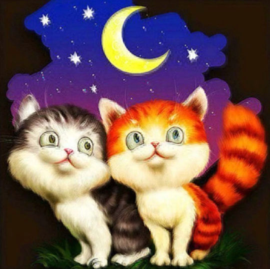 Diamond Mosaic Embroidery Zola Kittens Starry Sky 20 X 20 Cm