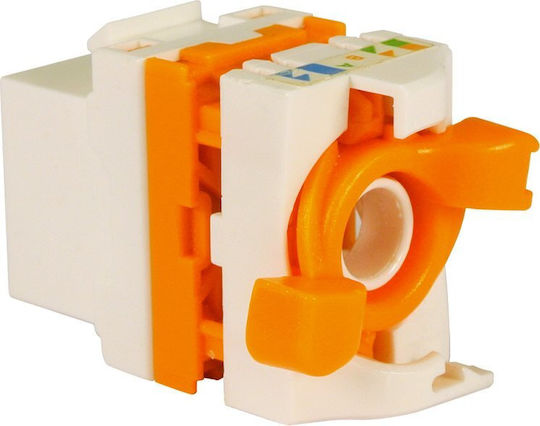 Televes 209905 Keystone Jack RJ-45 UTP Cat.6 Female 180° Tool-free White