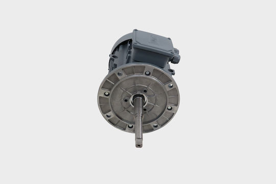 Maxima Motor