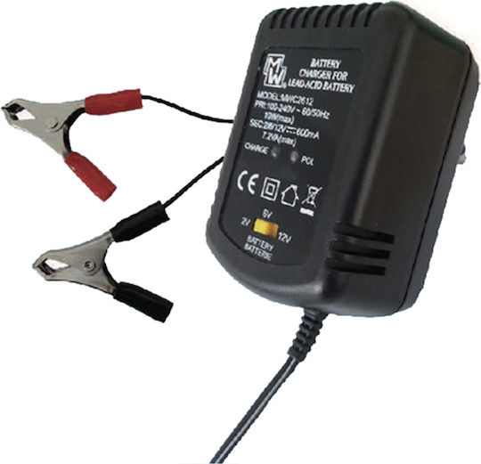 Minwa Autobatterieladegerät