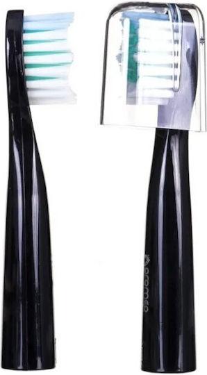 Oromed Basic Elektrische Zahnbürstenköpfe für elektrische Zahnbürste Black 2Stück
