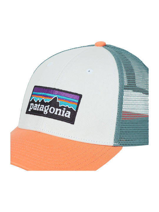 Patagonia P-6 Logo Lopro Trucker Hat Cap