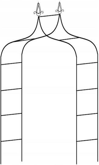 Arc Metalic Dublu Pentru Grădină Oțel Flori Cățărare 150 X 38,5 X 262 Cm Negru