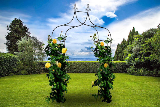 Arc Metalic Dublu Pentru Grădină Oțel Flori Cățărare 150 X 38,5 X 262 Cm Negru