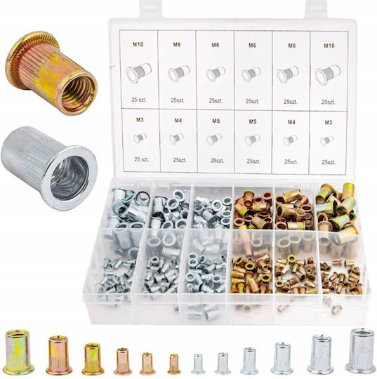 Set Cutie Cu Nuci 300 Bucăți