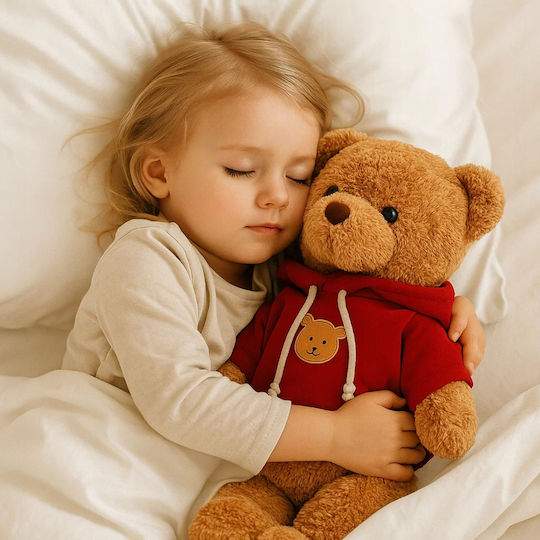 Plush Teddy Bear Valentine's Day 40 cm