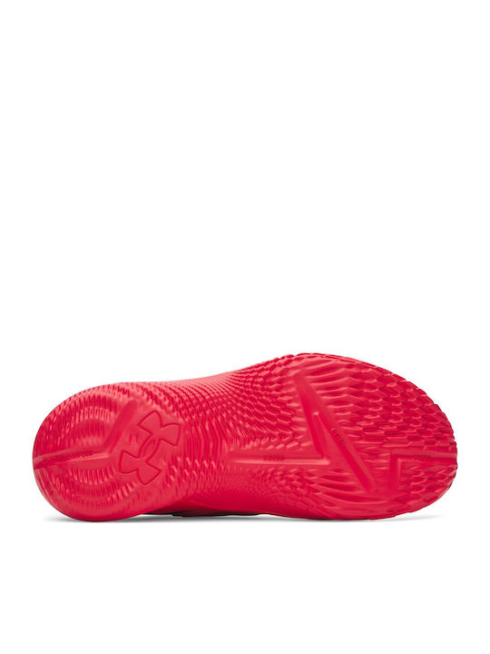 Fox 2 Low Basketball Shoes Red