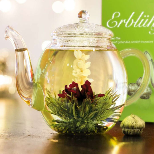 Creano Green Tea 6 Bags 190gr