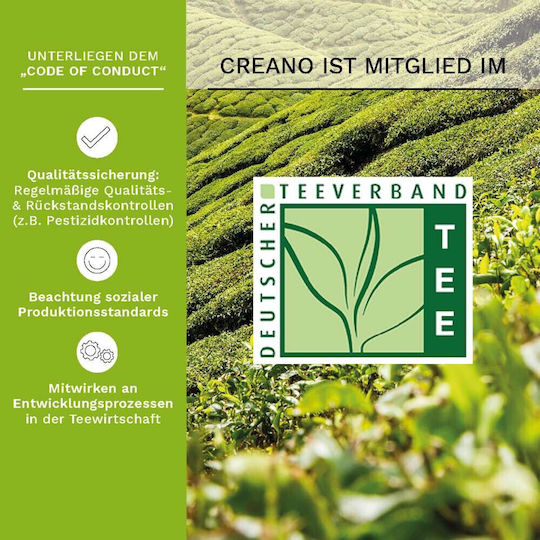 Creano Green Tea 6 Bags 190gr