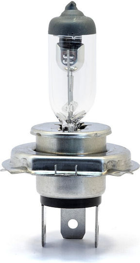 Einparts Autolampen H4 Halogen 3000K Warmes Weiß 12V Menge 2