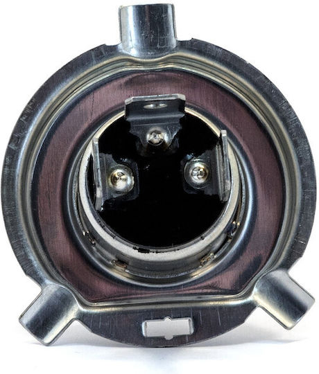 Einparts Autolampen H4 Halogen 3000K Warmes Weiß 12V Menge 2