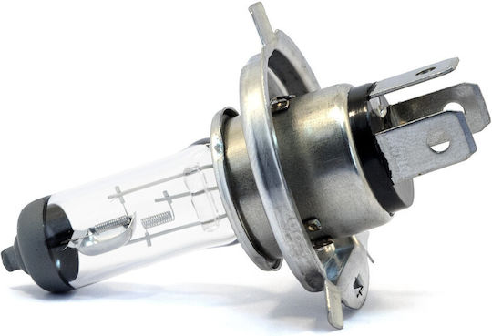 Einparts Autolampen H4 Halogen 3000K Warmes Weiß 12V Menge 2