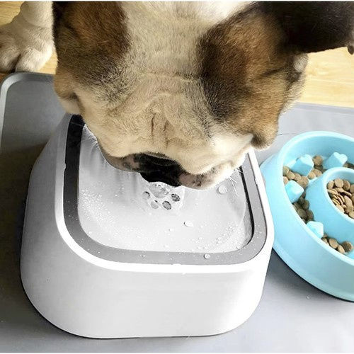 Bol din Plastic ABS pentru Hranire Lenta pentru Câine și Pisică 1.5l 22cm în Culoare Albă