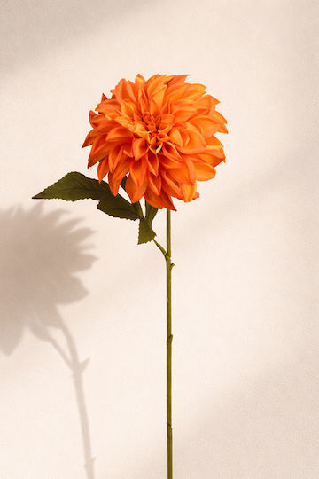 Floare Dahlia Portocalie Petale 20x15x67cm Monocrom Kaeming Floare Dahlia Portocalie Petale 20x15x67cm Monocrom Kaeming