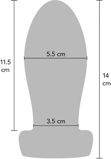 Hidden Desire Plug Anal Mediu