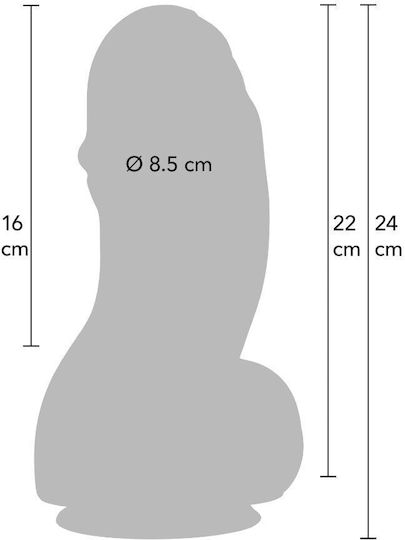 Hidden Desire Realistic Dildo with Scrotum and Suction Cup 22cm