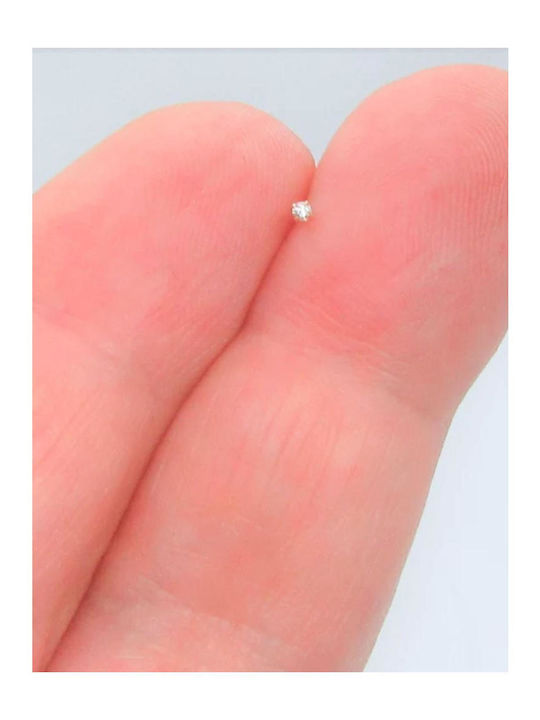 Piercing Nas Din Argint