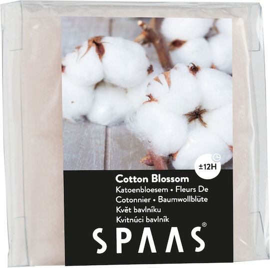 Spaas Raumdüfte Wachsschmelze 31gr