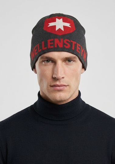 Beanie Unisex Beanie Knitted in Gray color