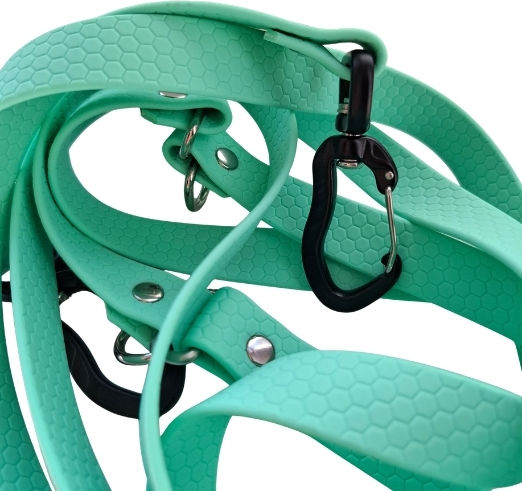 Bailu Dog Leash Lead Strap In Green Colour