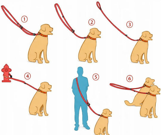 Bailu Dog Leash Lead Strap In Yellow Colour