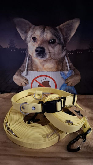 Bailu Dog Leash Lead Strap In Yellow Colour