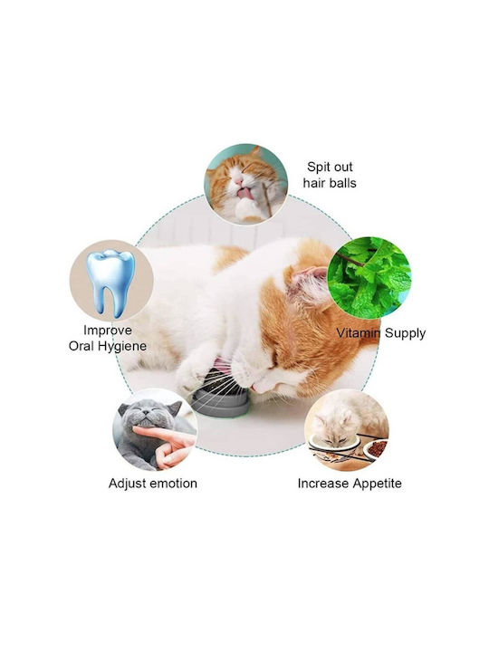 Glob Cu Catnip Pentru Pisici Bază Albastră