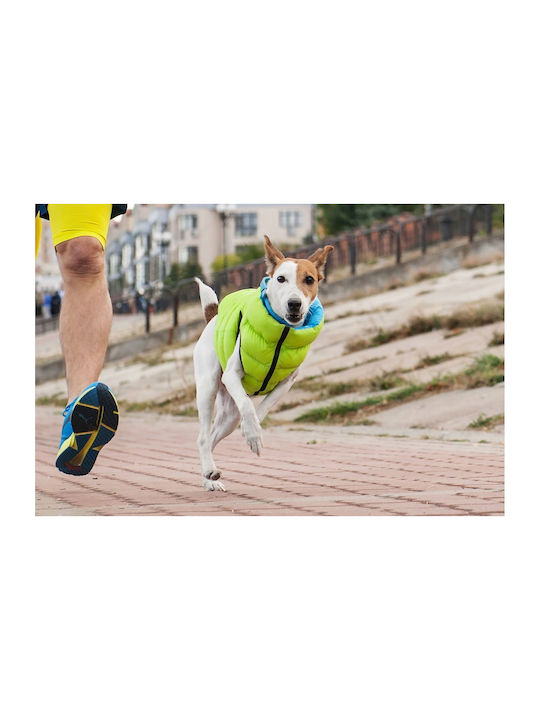 Doggy Dolly L 65 Wasserdicht Airyvest Doppelter Seite Offenes Grün + Blau