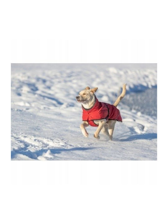 Explore Thermo Winter Coat Dog Sangria Xs 25 Cm