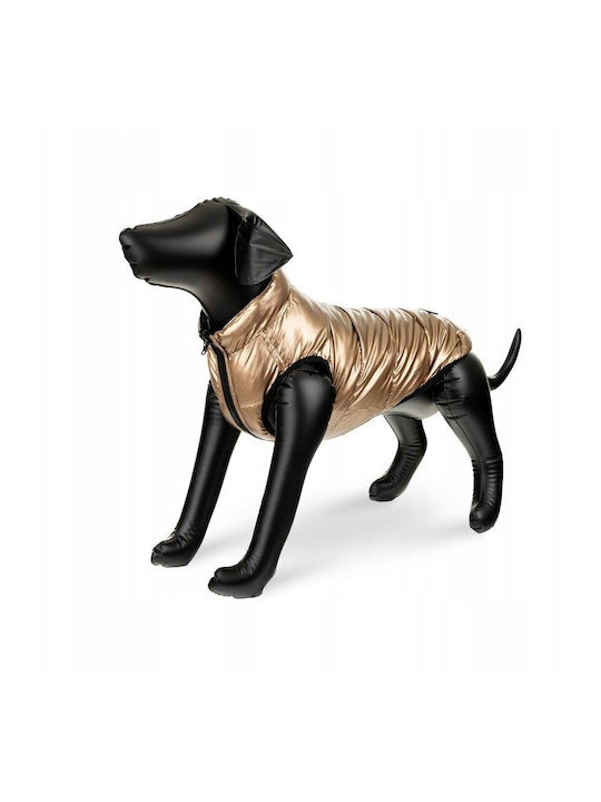 Jacket Dog Black-brown Reversible Size Xs 30
