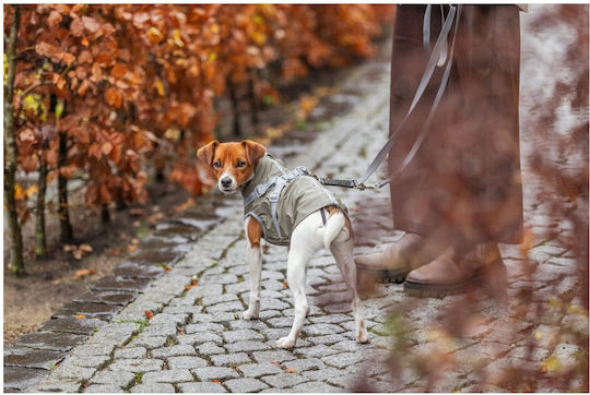 Pontis Coat Harness Dog Green Xxs 24 Cm