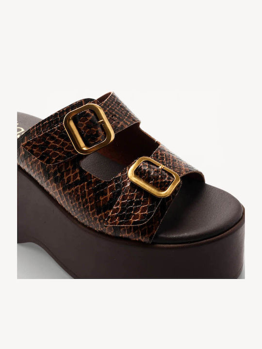 Maro Papuci Cu Toc Înalt Textură Snake Print