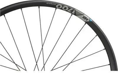 Dt Swiss Hinterrad Fahrradreifen 29"