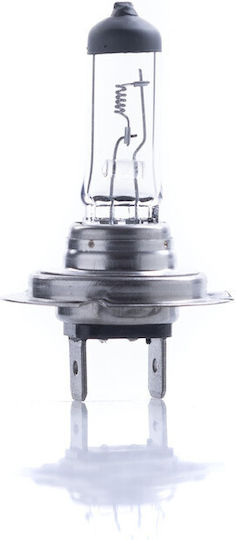 Einparts Autolampen H7 Halogen 24V 70W 2 Stück