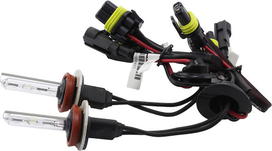 Set 1 Xenon Birne H9-6k Carguard