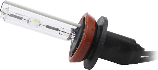 Set 1 Xenon Birne H9-6k Carguard