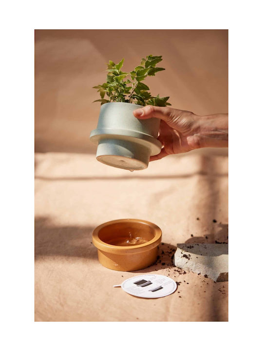 Folia Aromatisches Kerze in Gefäß mit Zitronen Parfüm 141gr